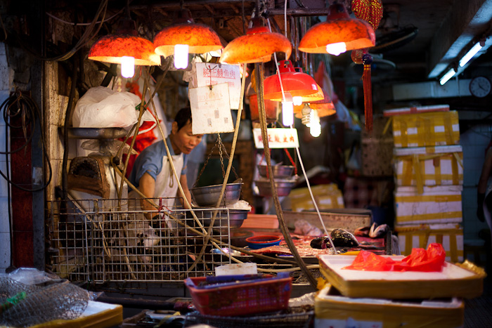 Hong-Kong-0067