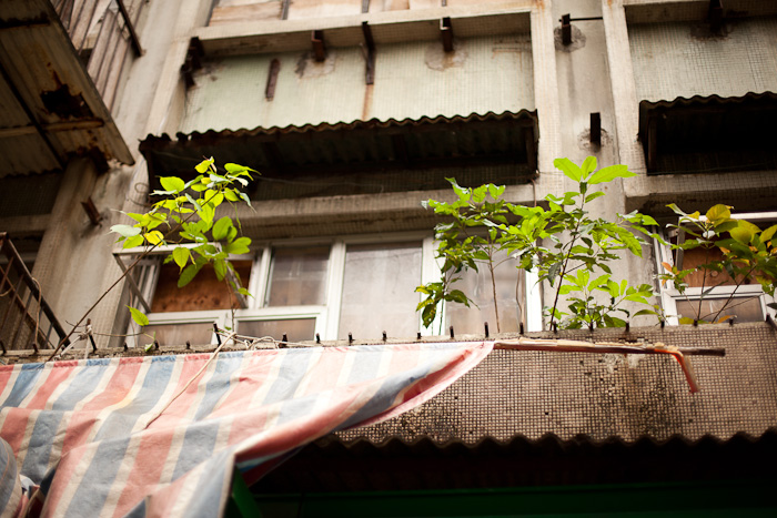 Hong-Kong-0111