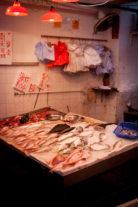 Hong-Kong-0145