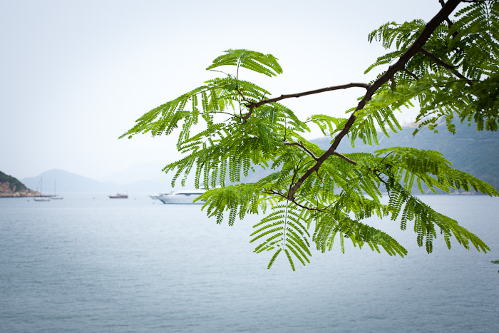 2012_Hong-Kong-0425